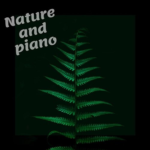 Nature And Piano Michael Hanley Spa Music Relaxation Therapy Trouble Sleeping Music Universe