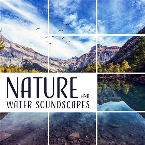 Nature and Water Soundscapes - Lose Yourself in Nature & Find Peace, Relaxation, Meditation and Sleep Calm Nature Oasis