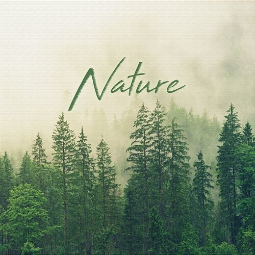 Nature NS Records