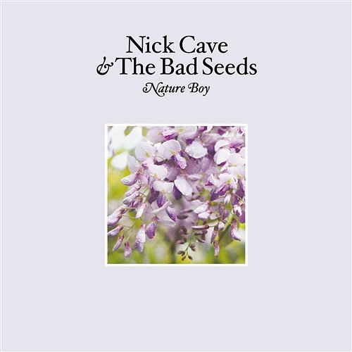 Nature Boy Nick Cave & The Bad Seeds