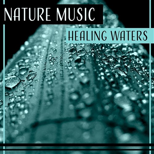 Nature Music: Healing Waters – Gentle Sounds for Meditation, Relaxation, Sleep, Spa, Massage, Yoga, Rain & Waves Therapy Healing Waters Zone