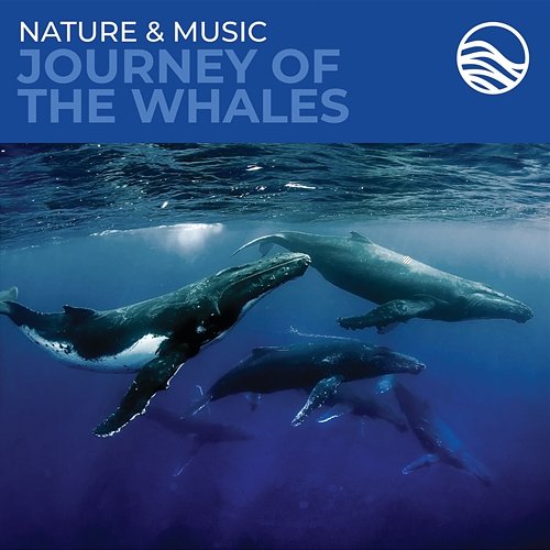Nature & Music: Journey Of The Whales David Arkenstone