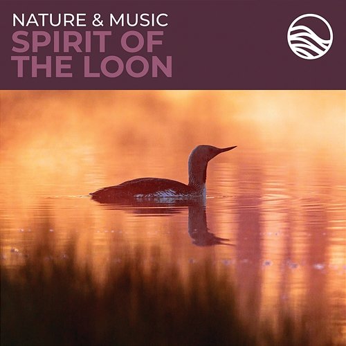 Nature & Music: Spirit Of The Loon Brian Hardin