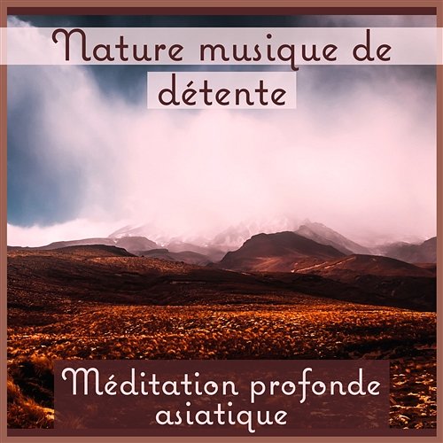 Nature musique de détente: Méditation profonde asiatique, Musique de Tai Chi, Zone de guérison de chakra, Vagues d'océan, Sons de pluie Ensamble de Musique Méditation