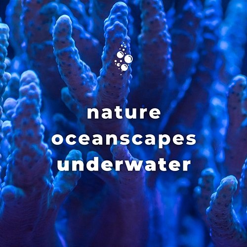 Nature Oceanscapes: Underwater Underwater World, Whale Song, Epic Soundscapes