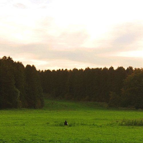 nature's course Sophie Claire, STRIPE & Tom Webster feat. vivian