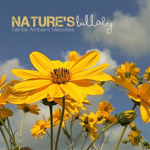 Nature's Lullaby Gentle Ambient Melodies Various Artists