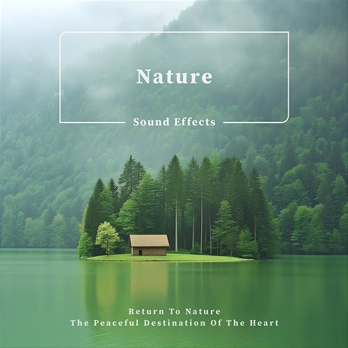 Nature Sound Effects:Return to Nature, the Peaceful Destination of the Heart Cool Music