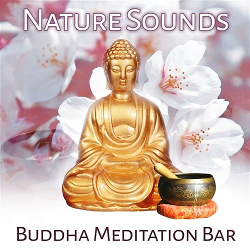 Nature Sounds: Buddha Meditation Bar, Oriental Sounds, Tibetan Bowls, Music for Yoga, Massage, Reiki, Chakra Healing Buddhism Academy