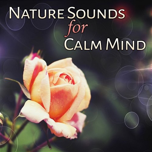 Nature Sounds for Calm Mind: Birdsong, Spa Music, Zen Garden, Meditation, Waterfall, New Age, Positive Tracks, Forest, Stream Healing Power Natural Sounds Oasis