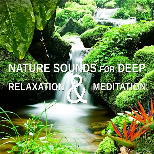 Nature Sounds for Deep Relaxation & Meditation: Music to Quiet Your Mind, Blissful Sleep, Sooth Your Soul, Reiki Healing & Yoga Relaxing Nature Sounds Collection