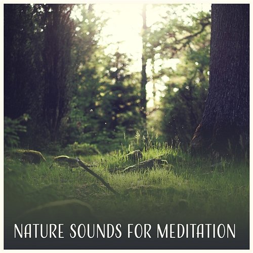 Nature Sounds for Meditation – Relaxing Sounds for Meditation and Yoga, Soothing Sleep Sounds, Ambient Sounds of Nature, Stress Reduction, Healing Nature Zen Natural Sounds