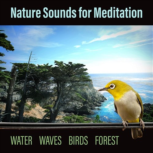 Nature Sounds for Meditation: Water, Waves, Birds, Forest, Meditation Music, Yoga Session, Chakra Opening Serenity Nature Sounds Academy