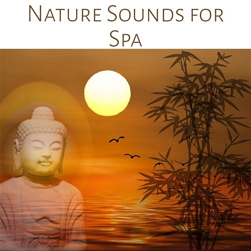 Nature Sounds for Spa: Relaxing Ambiences for Wellness, Massage and Reiki, New Age Music for Yoga, Meditation & Healing Pure Spa Massage Music