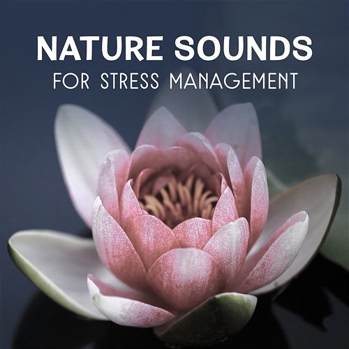 Nature Sounds for Stress Management – Calming Sounds, Inner Harmony, Self Hypnosis Therapy, Healing Natural Meditation, Music for Deep Sleep Natural Treatment Zone