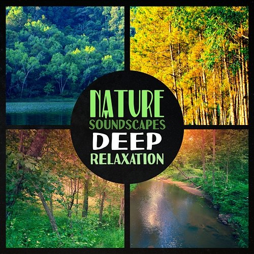 Nature Soundscapes: Deep Relaxation – Beauty and Mystery of Universe, Yoga, Fresh Air, Stress Relief, Full of Happiness Close to Nature Music Ensemble