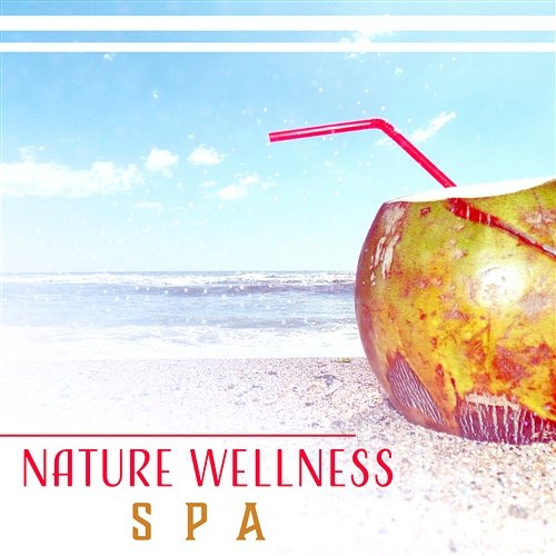 Nature Wellness Spa: Music for Healing Centers, Soothing Sounds, Body Relax, Hotel Lounge Collection, Serenity Moments, Blissful Massage Various Artists