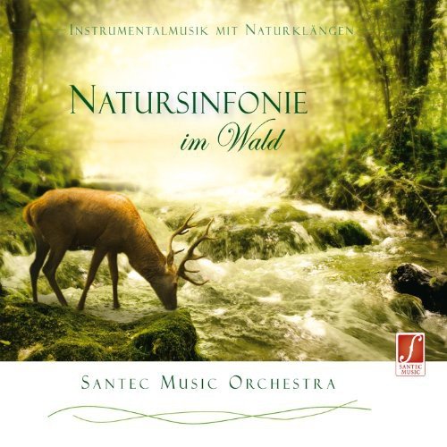 Natursinfonie im Wald (Instrumentalmusik) Various Artists