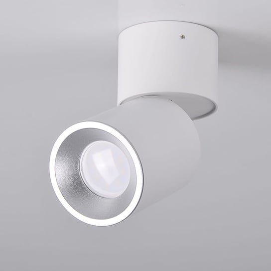 Natynkowa lampa regulowana ASTRA 314031 biały reflektor do biura POLUX