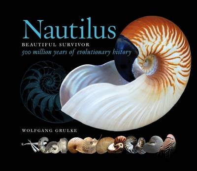 Nautilus: Beautiful Survivor. 500 Million Years of Evolutionary History Wolfgang Grulke