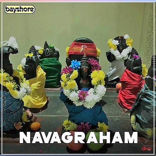 Navagraham D.V. Ramani