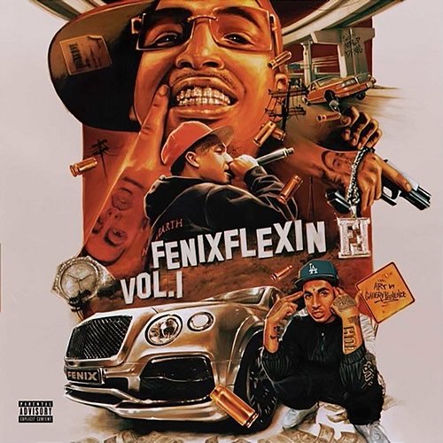 NDS Fenix Flexin