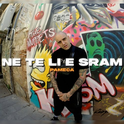 NE TE LI E SRAM Pameca