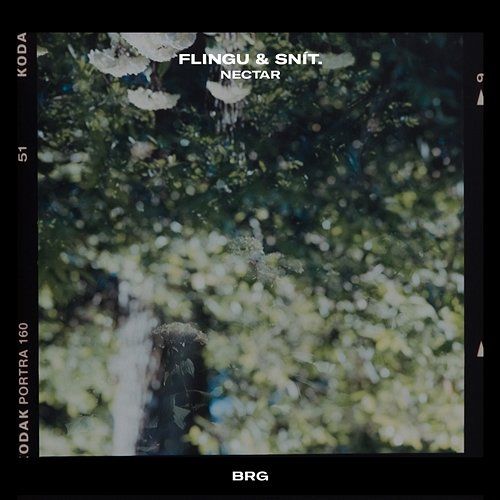 Nectar snít. & BRG Beats, Flingu