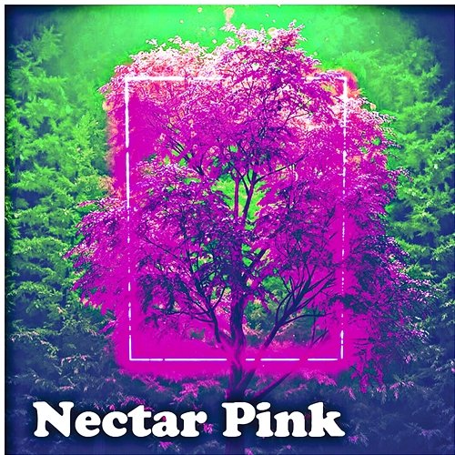 Nectar Pink Dorian Charnee