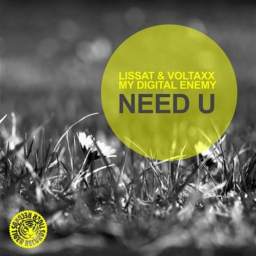 Need U Lissat & Voltaxx vs. My Digital Enemy