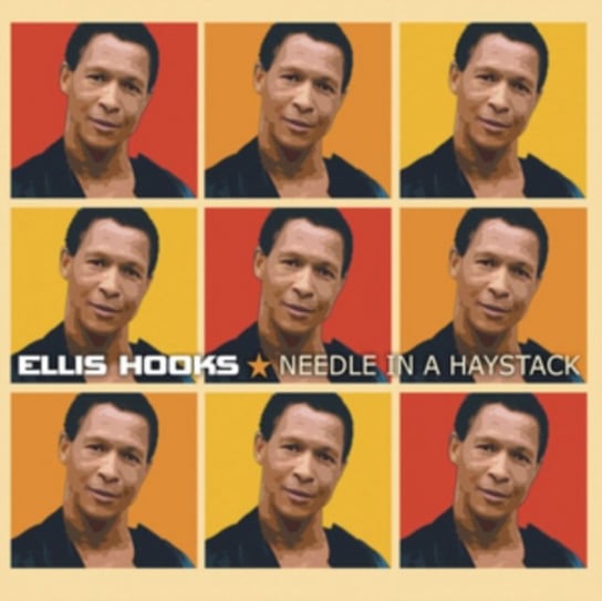 Needle in a Haystack Hooks Ellis
