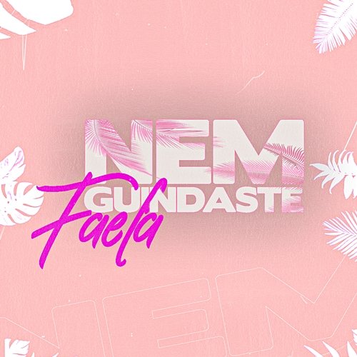 Nem Guindaste Faela