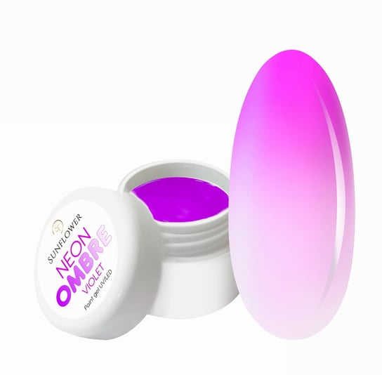 Neon Ombre Paint  No Wipe - Neon Violet 3g SUNFLOWER