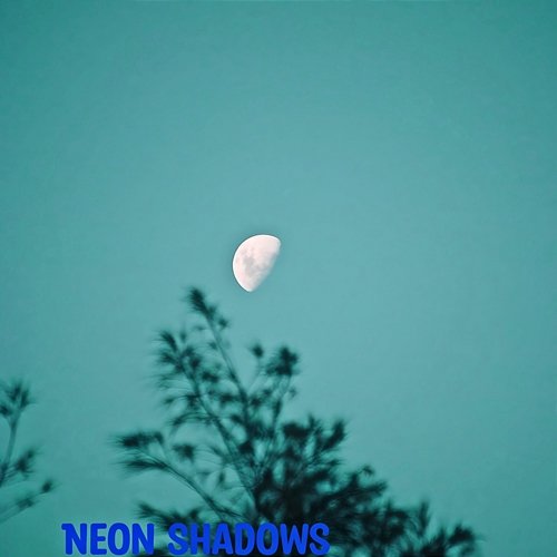 Neon Shadows Dorothy Howard