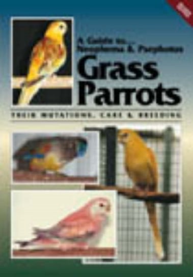 Neophema and Psephotus Grass Parrots Toby Martin