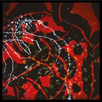 Nerve Net, płyta winylowa Eno Brian