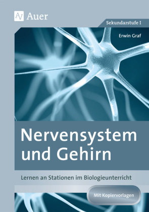 Nervensystem und Gehirn Graf Erwin
