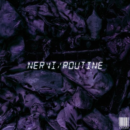 Nervi/Routine Zizzu