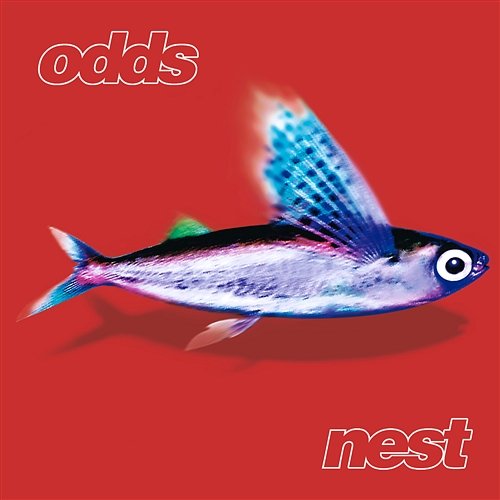 Nest Odds