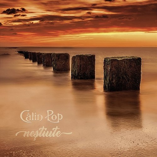 Neștiute Calin Pop