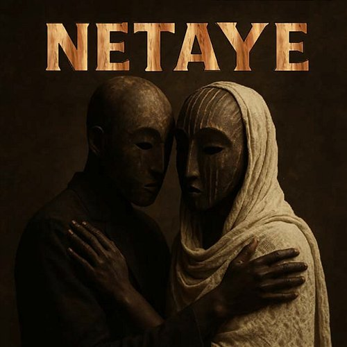 NETAYE NVM3K