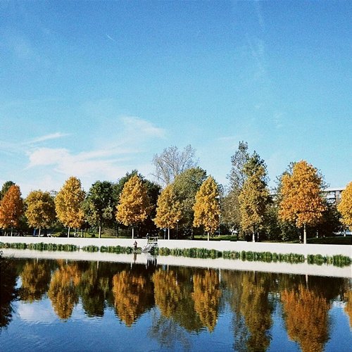 Netherlands Lukpeach
