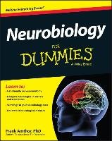 Neurobiology For Dummies Amthor Frank