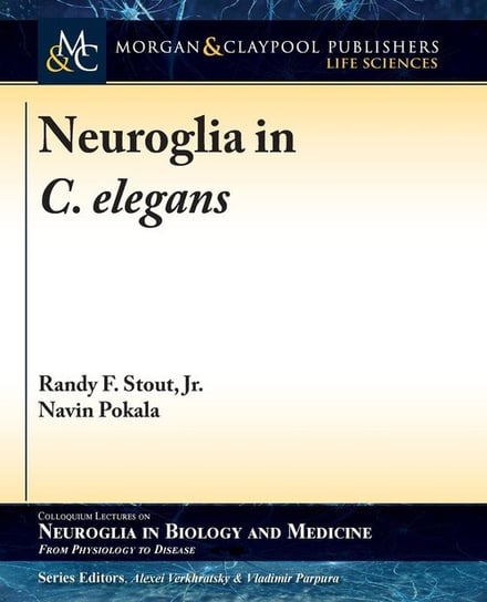 Neuroglia in C. elegans Stout Randy F. Jr.