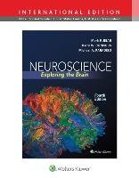 Neuroscience: Exploring the Brain Bear Mark F., Paradiso Michael, Connors Barry W.