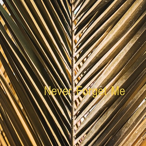 Never Forget Me Stephanie Vann