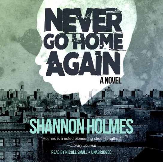 Never Go Home Again Holmes Shannon