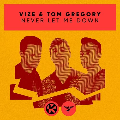 Never Let Me Down VIZE, Tom Gregory
