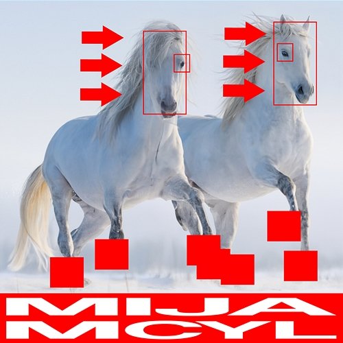 Never Let U Go Mija, MCYL