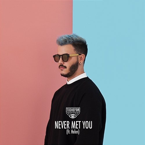 Never Met You Todiefor feat. Helen